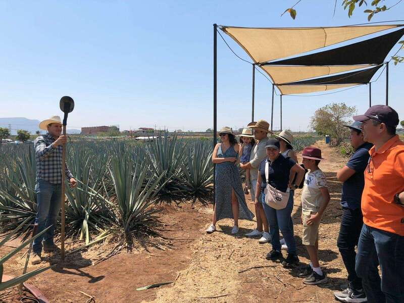 Guadalajara: Premium Tequila Tour with Tastings and Pairings - Cantaritos El Guero brings the volume up