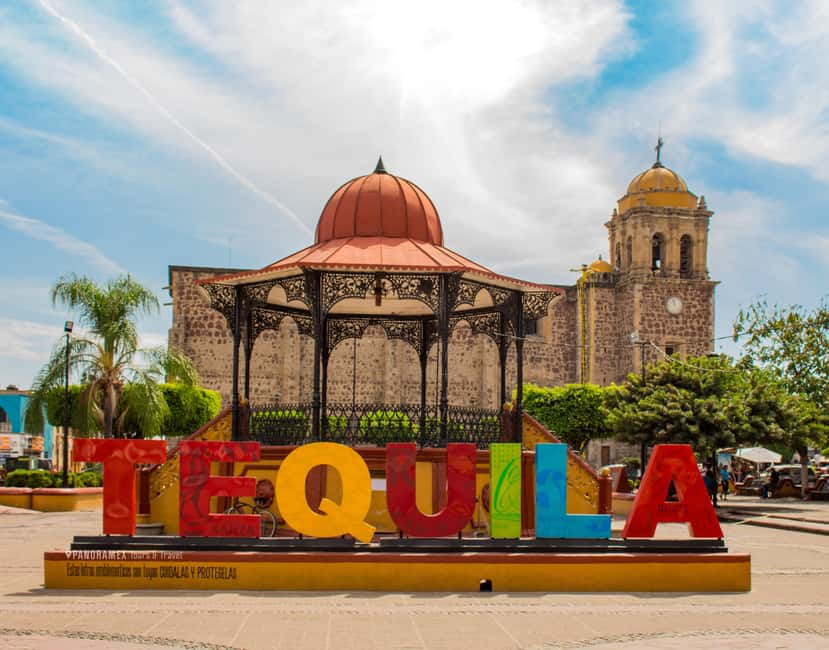 Guadalajara: Tequila Day Trip with Jose Cuervo Option - From Guadalajara to the agave fields