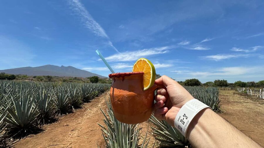 Guadalajara: Tequila Day Trip with Jose Cuervo Option - Tasting tequila without rushing the lesson