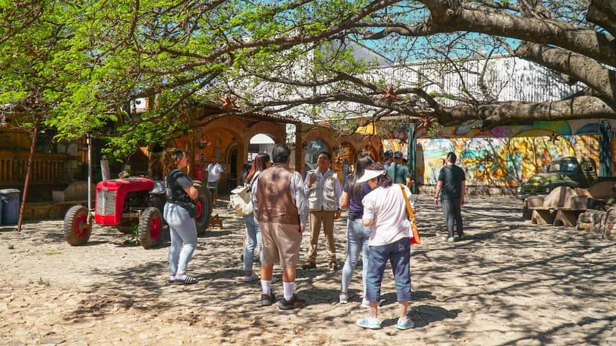 Guadalajara: Tequila Day Trip with Jose Cuervo Option - Who will enjoy this day trip?