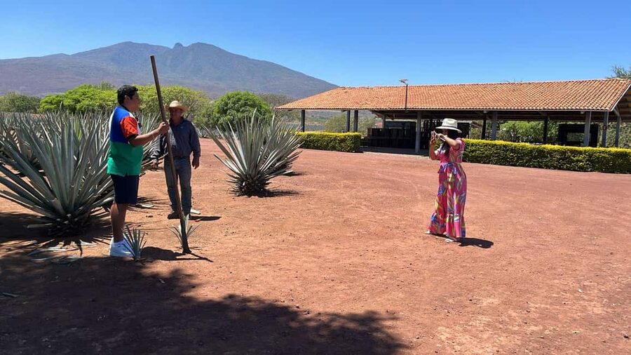 Guadalajara: Tequila Day Trip with Jose Cuervo Option - What the distillery visit teaches you
