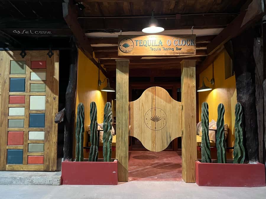 Holbox: Tequila Tasting Experience at Tequila O'clock - A one-hour introduction to tequila in Holbox