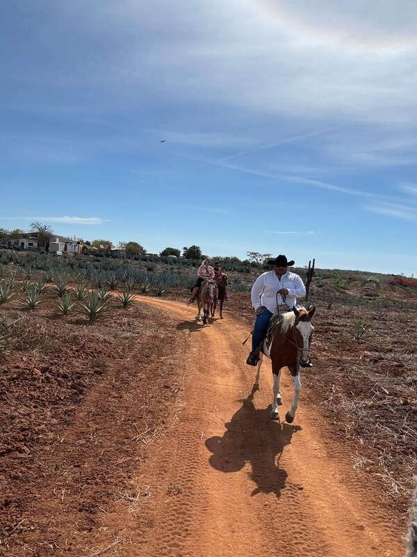 Horseback riding and Temazcal combo with lunch and mezcal - A Ranch Day With Two Very Different Moods