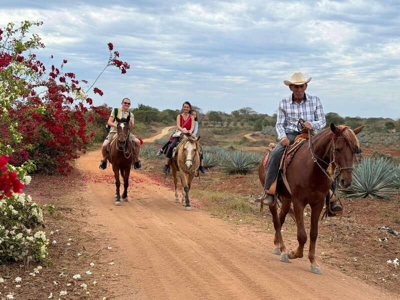 Horseback riding and Temazcal combo with lunch and mezcal - Should You Book It?