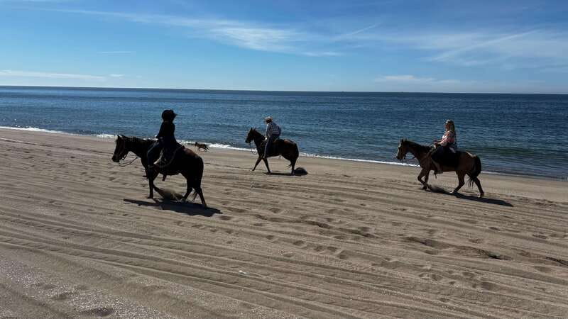 Horseback riding and Temazcal combo with lunch and mezcal - Lunch With Machaca and Handmade Tortillas