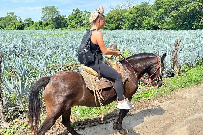 Horseback Riding & Swim: Tequila Tasting, BBQ & Margaritas - Is $113.26 a fair price?