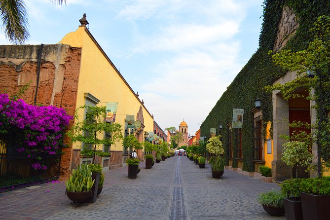 José Cuervo Tequila Day Experience from Guadalajara - Comparing La Rojeña with Don Elias