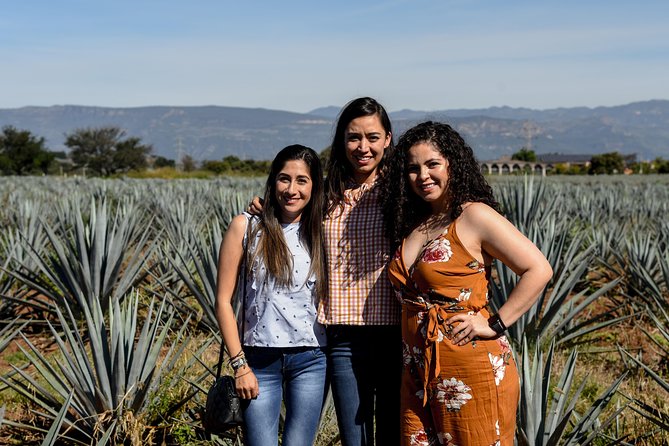 José Cuervo Tequila Day Experience from Guadalajara - The shared van and the long ride home