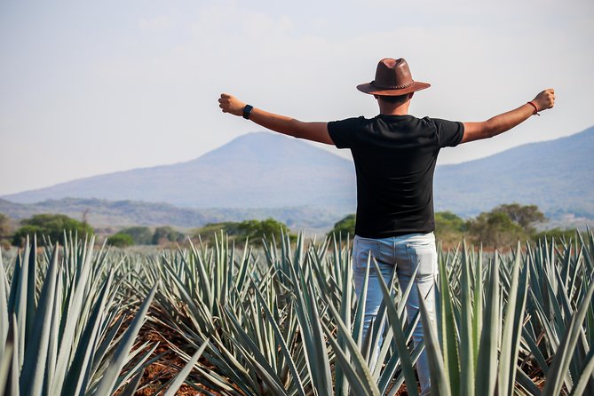 José Cuervo Tequila Day Experience from Guadalajara - What the agave-to-bottle explanation adds