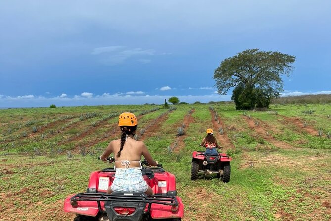 Jungle and beach ATV tour + lunch + tequila tasting - Lunch with tequila cheese at the ranch