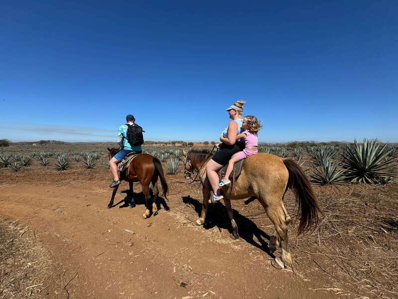 Jungle and beach horseback ride + lunch + mezcal - From Mazatlán to Mr. Lionso Ranch
