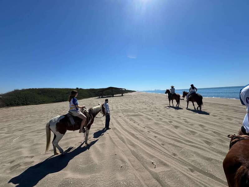 Jungle and beach horseback ride + lunch + mezcal - Ninety minutes through jungle and onto the beach