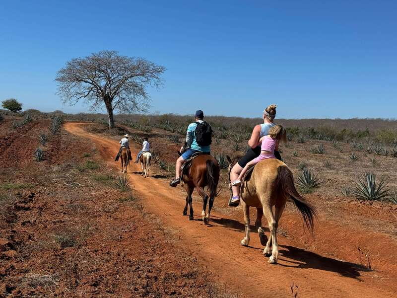Jungle and beach horseback ride + lunch + mezcal - Who will enjoy this ranch outing