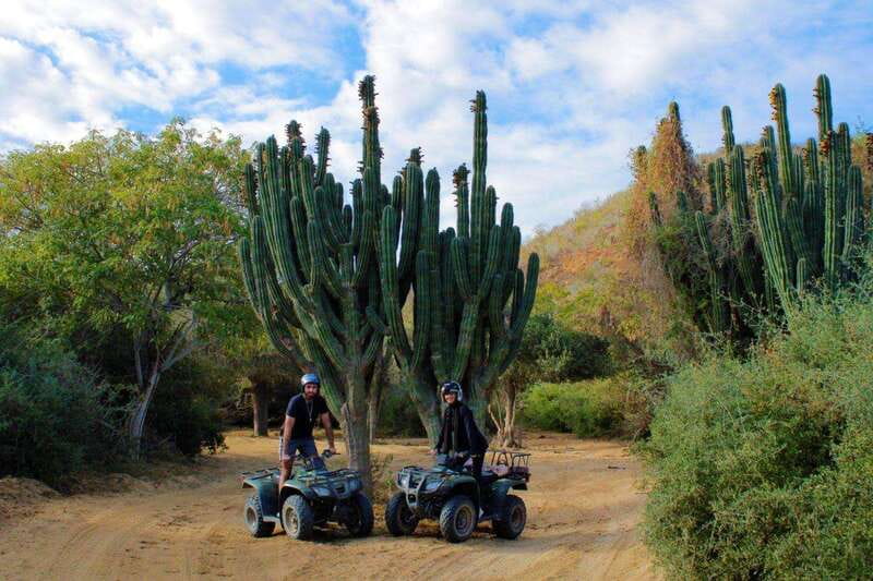 Los cabos:ATV beach&desert with transfer & tequila tasting - Tequila tasting and the return transfer