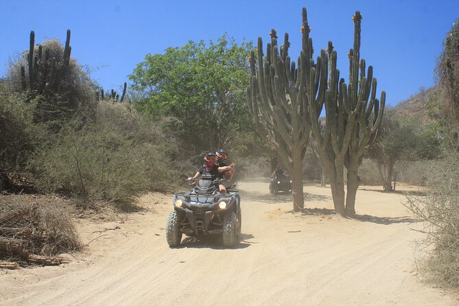 Los Cabos Beach & Desert Tour in Automatic ATV + Tequila Tasting - The mountain section and the Pacific beach