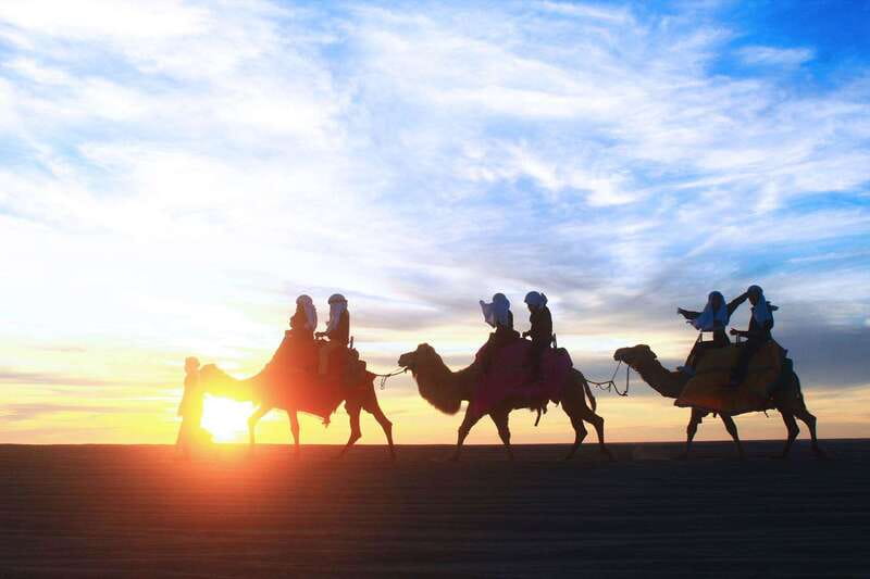 Los Cabos: Camel Ride Safari with Lunch and Tequila Tasting - What the Los Cabos camel safari is really like