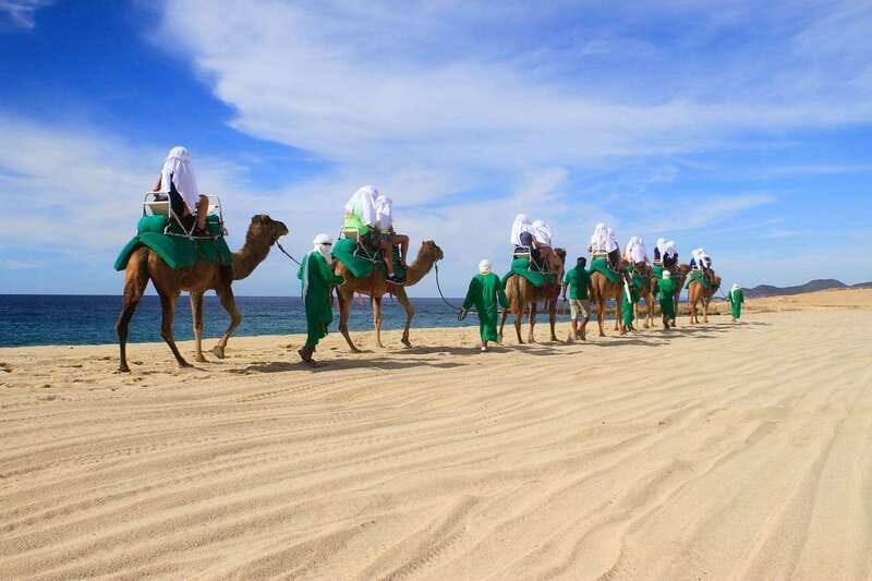 Los Cabos: Camel Ride Safari with Lunch and Tequila Tasting - Should you book the Los Cabos camel safari?
