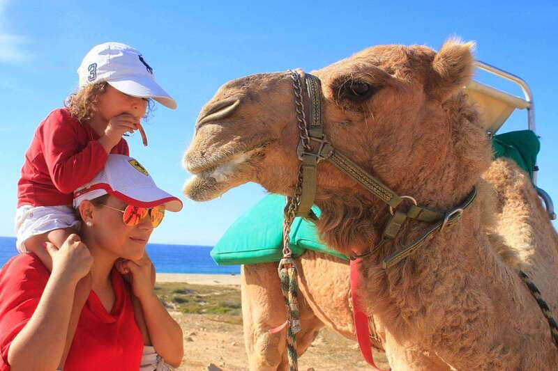 Los Cabos: Camel Ride Safari with Lunch and Tequila Tasting - Walking through a Baja ecological reserve