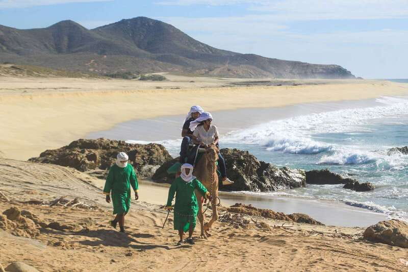 Los Cabos: Camel Ride Safari with Lunch and Tequila Tasting - Burrito lunch and flavored water