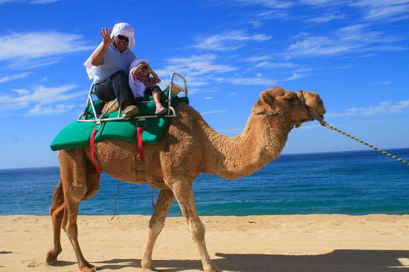 Los Cabos: Camel Ride Safari with Lunch and Tequila Tasting - Learning how tequila is made