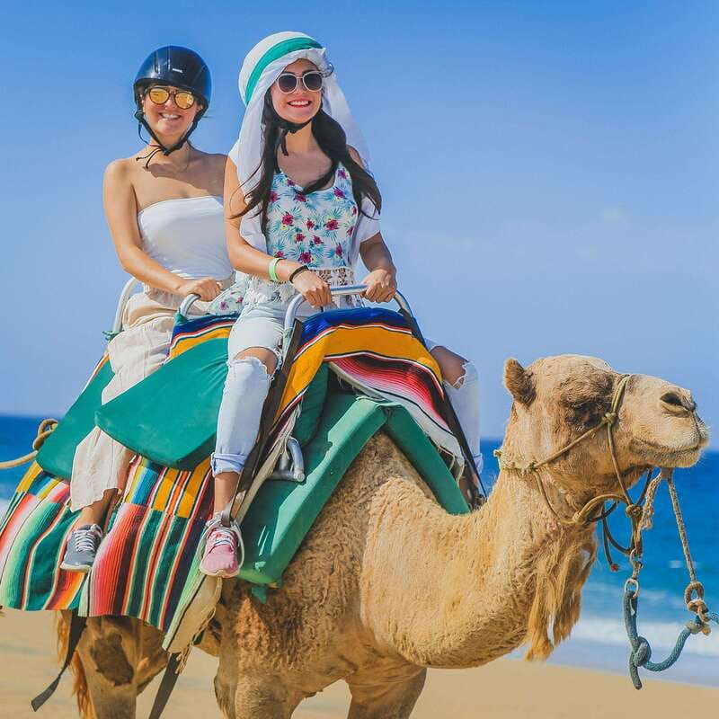 Los Cabos: Camel Ride Safari with Lunch and Tequila Tasting - Is $165 worth it?