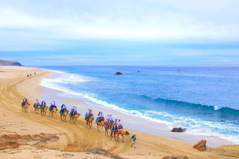 Los Cabos: Camel Ride Safari with Lunch and Tequila Tasting - Who should book this activity?