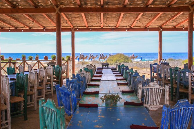 Magical Todos Santos Tour, Camel Ranch, Lunch and Tequila - Tequila and mezcal at the end of the day