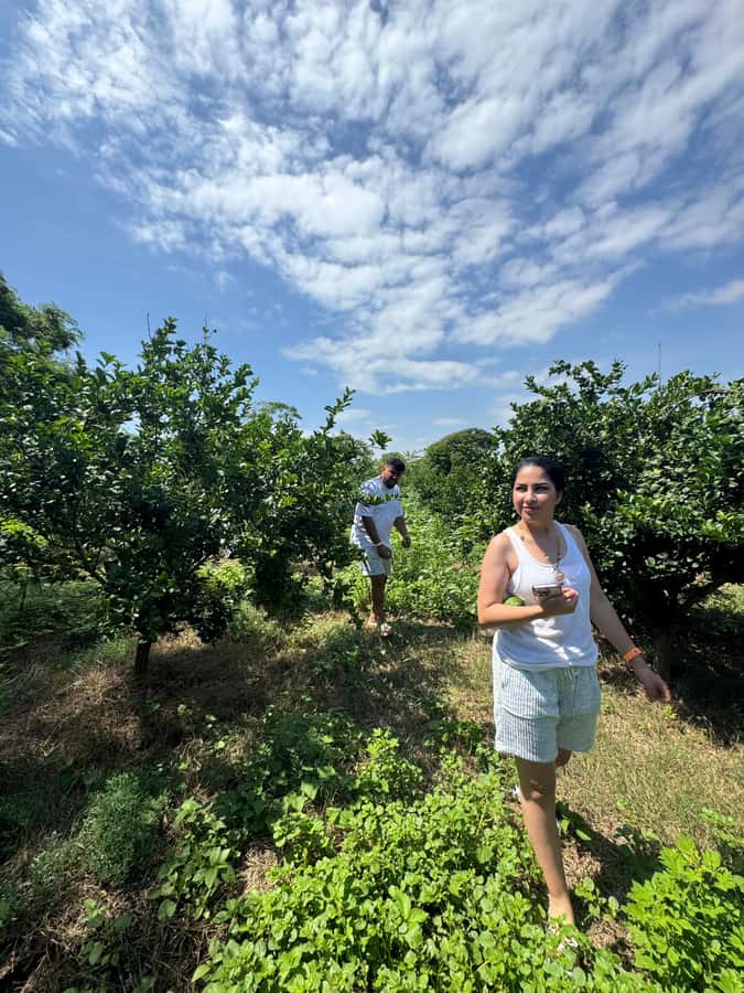 Mazatlán: Fruit Tour with Lunch and Mezcal Tasting - Key points to know before booking