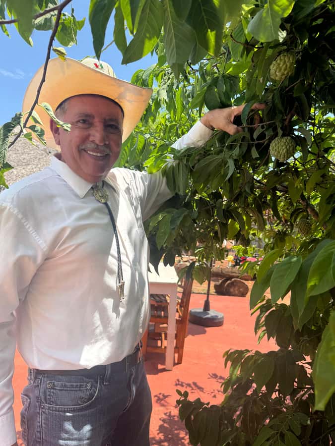 Mazatlán: Fruit Tour with Lunch and Mezcal Tasting - Mezcal from reposado to mango