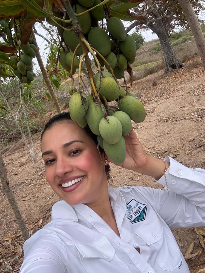 Mazatlán: Fruit Tour with Lunch and Mezcal Tasting - The glass factory shopping stop