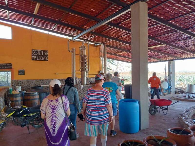 Mazatlan: Mezcal Factory Tour with Tasting and Lunch - A relaxed introduction, with one caveat
