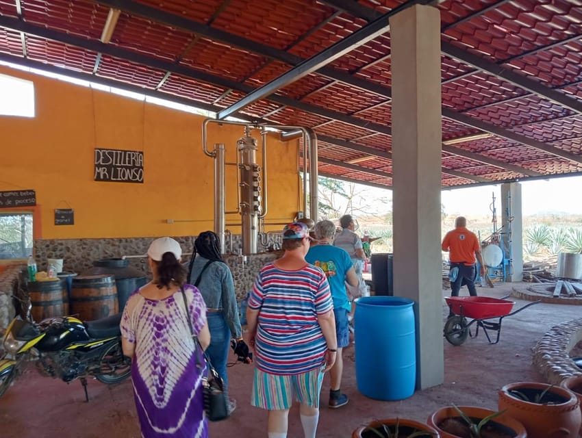 Mazatlan: Mezcal Factory Tour with Tasting and Lunch - Seven flavors at the tasting