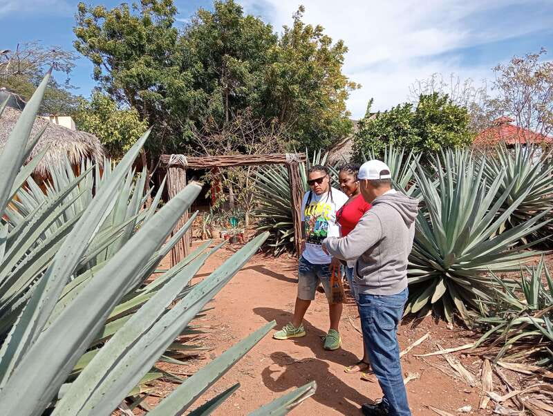 Mazatlan: Mezcal Factory Tour with Tasting and Lunch - Lunch with machaca and handmade tortillas
