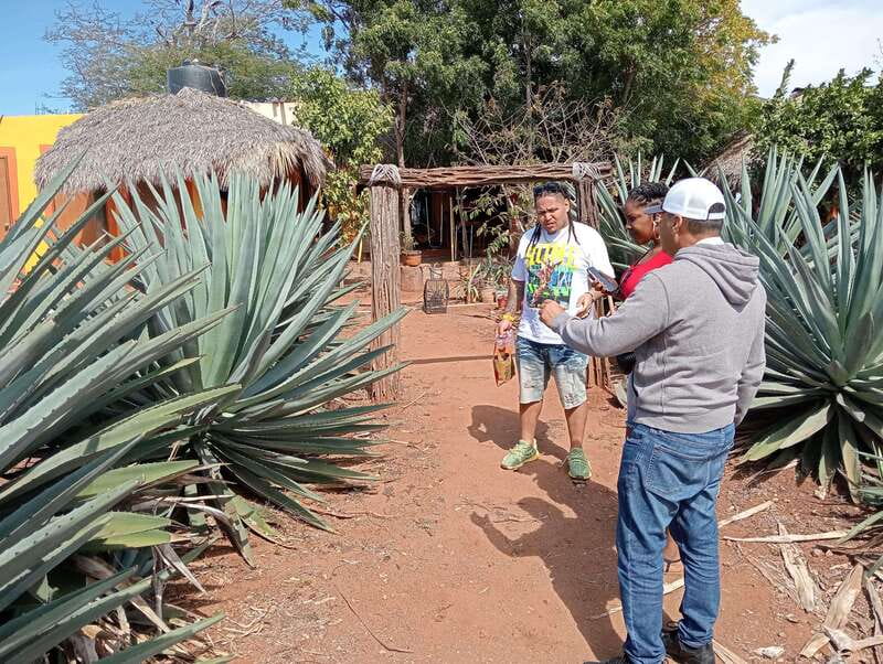 Mazatlan: Mezcal Factory Tour with Tasting and Lunch - Seeing 55 hectares of agave