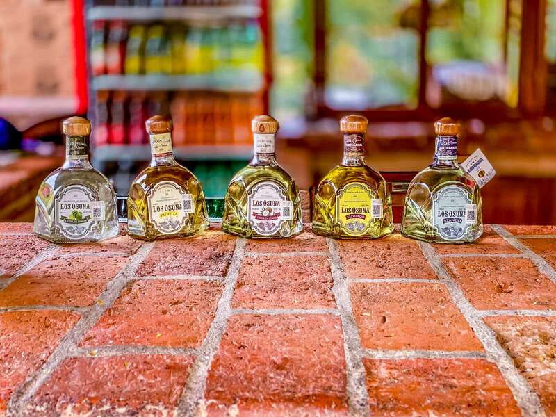 Mazatlán: Tequila Factory & Country Sightseeing - The tequila factory visit