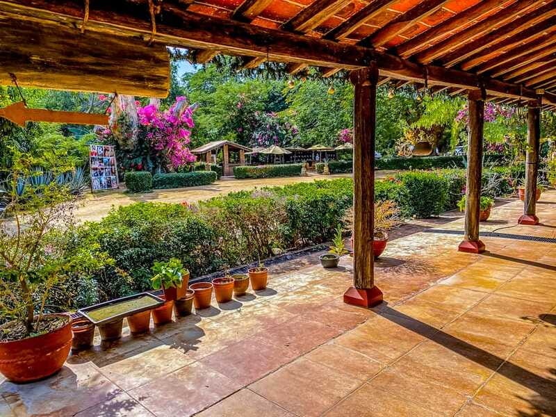 Mazatlán: Tequila Factory & Country Sightseeing - The road stops that add character