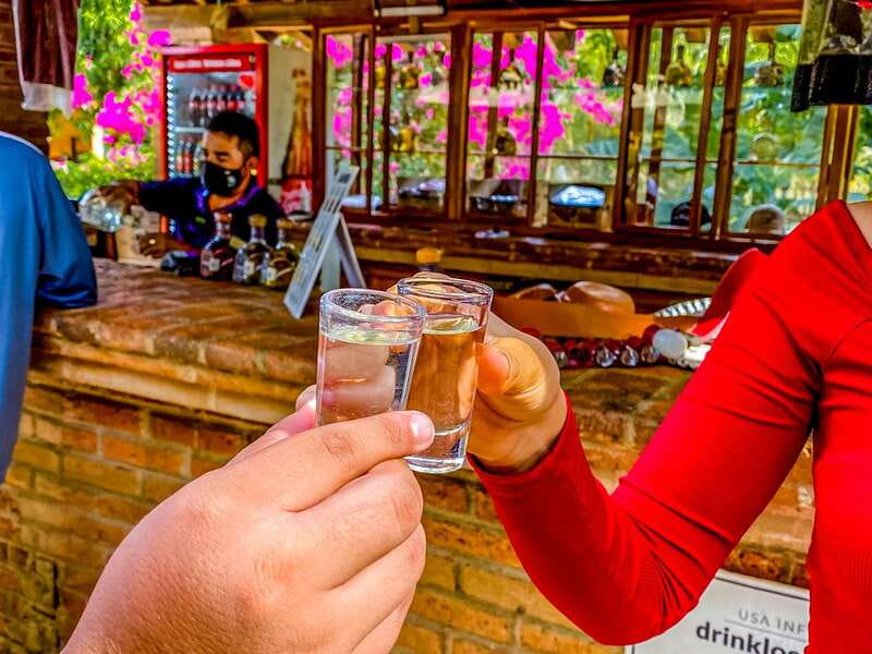 Mazatlán: Tequila Factory & Country Sightseeing - La Noria de San Antonio and its working traditions