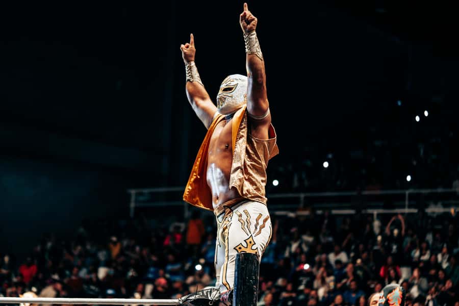 Mexico City: Mexican evening, lucha libre, and tequila - Key points to know before booking