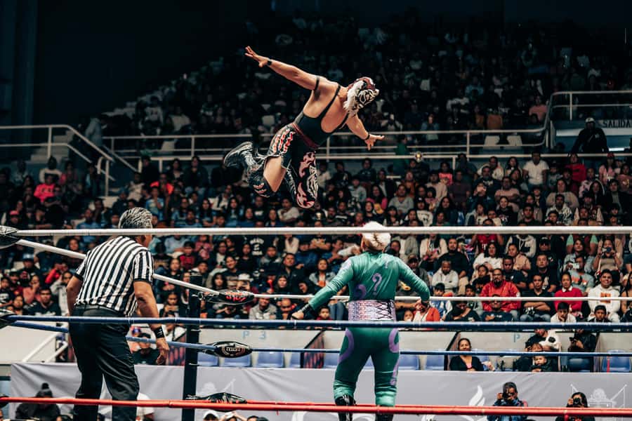 Mexico City: Mexican evening, lucha libre, and tequila - Meeting at Isabel La Católica 61a