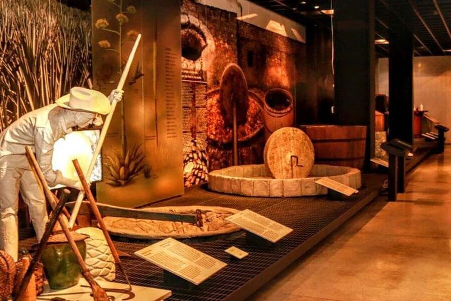 Mexico City: Tequila and Mezcal Museum Ticket with Tastings - The guides can shape the whole experience