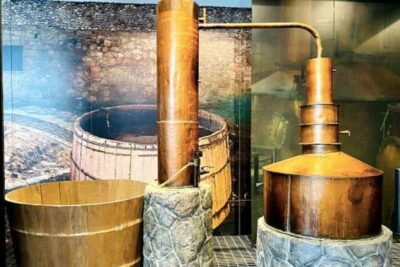 Tequila and Mezcal Museum Ticket with Tastings