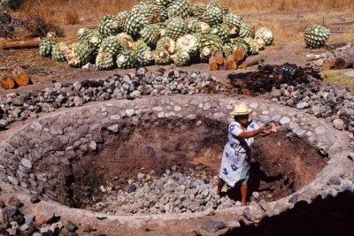 Mezcal Tasting -Masterclass + Blind tasting-