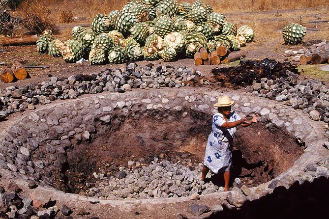 Mezcal Tasting -Masterclass + Blind tasting- - The next 45 minutes: five mezcales without the labels