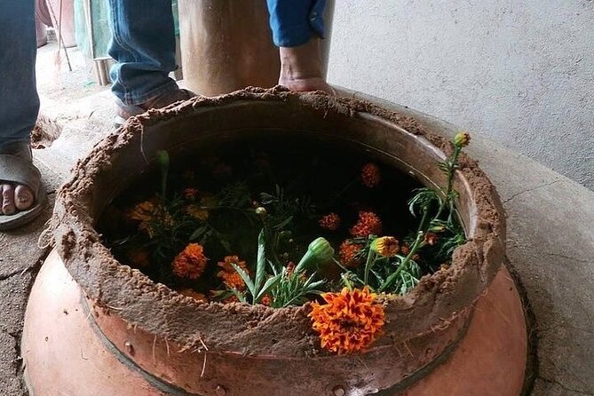 Mezcal Tour Oaxaca - Why the $102 price can make sense