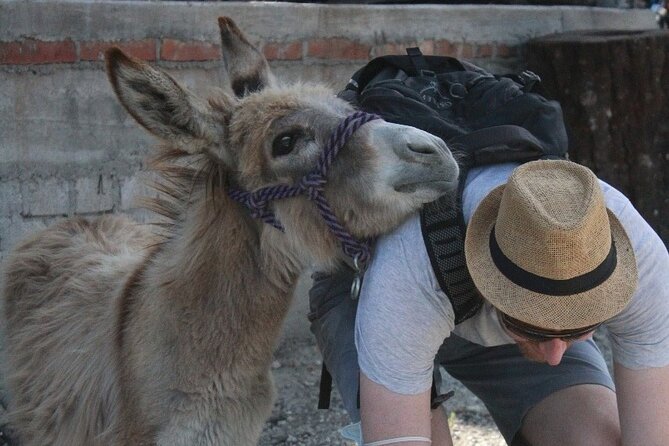 Mezcal Tour Oaxaca - Simple booking details that matter
