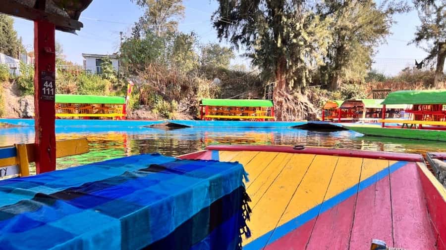 Music and Tequila in Xochimilco visits Coyoacán and CU - The guide can make the short schedule work