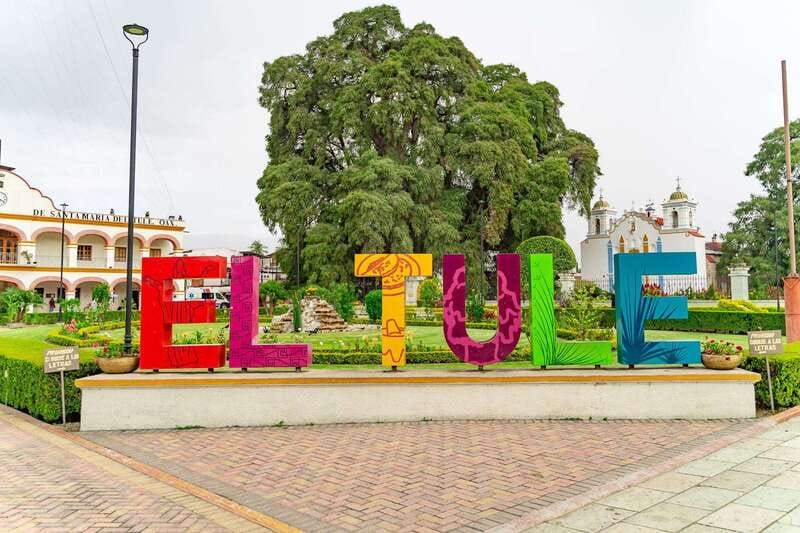 Oaxaca: El Tule tree, Teotitlan Village & Mezcal Tour - Key things to know before you go