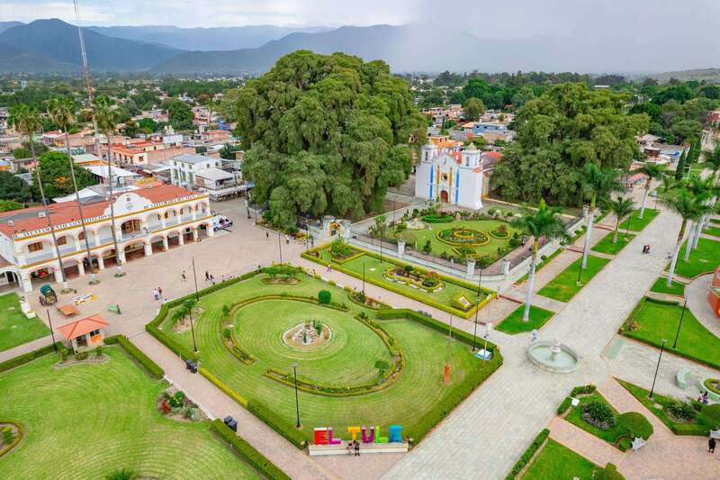 Oaxaca: El Tule tree, Teotitlan Village & Mezcal Tour - Why this half-day route works