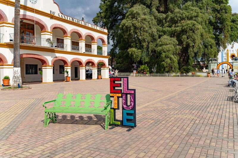 Oaxaca: El Tule tree, Teotitlan Village & Mezcal Tour - Meeting the giant Tule Tree in 30 minutes