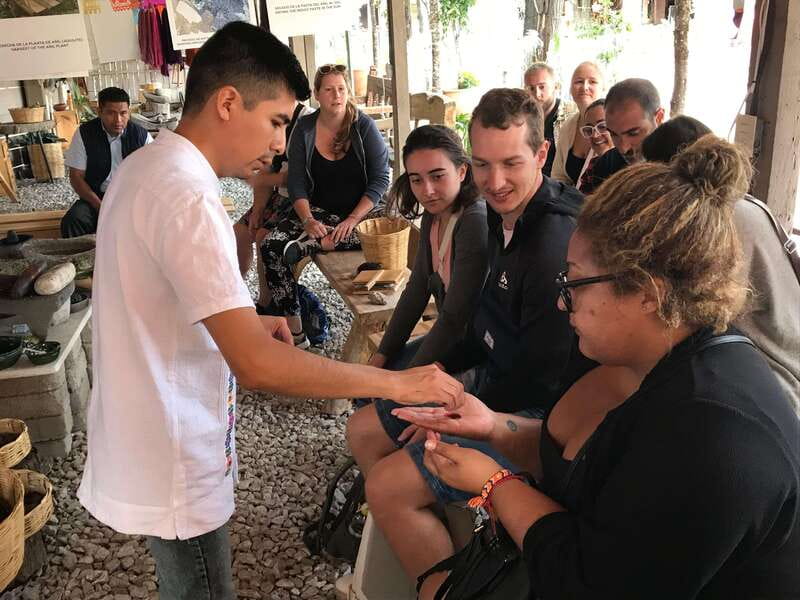 Oaxaca: El Tule tree, Teotitlan Village & Mezcal Tour - Understanding cochineal and natural pigments